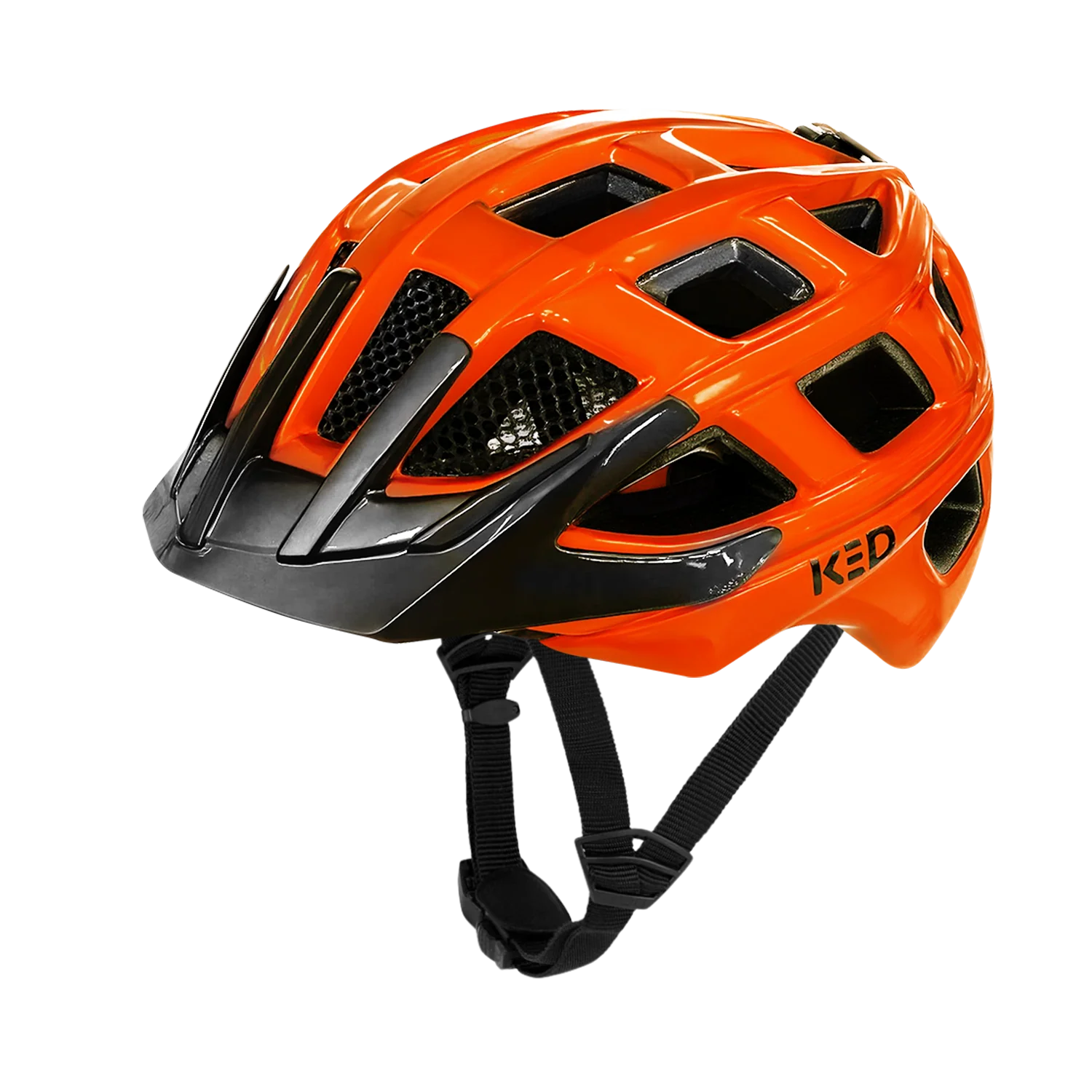 Kailu Swiftie - Image 5
