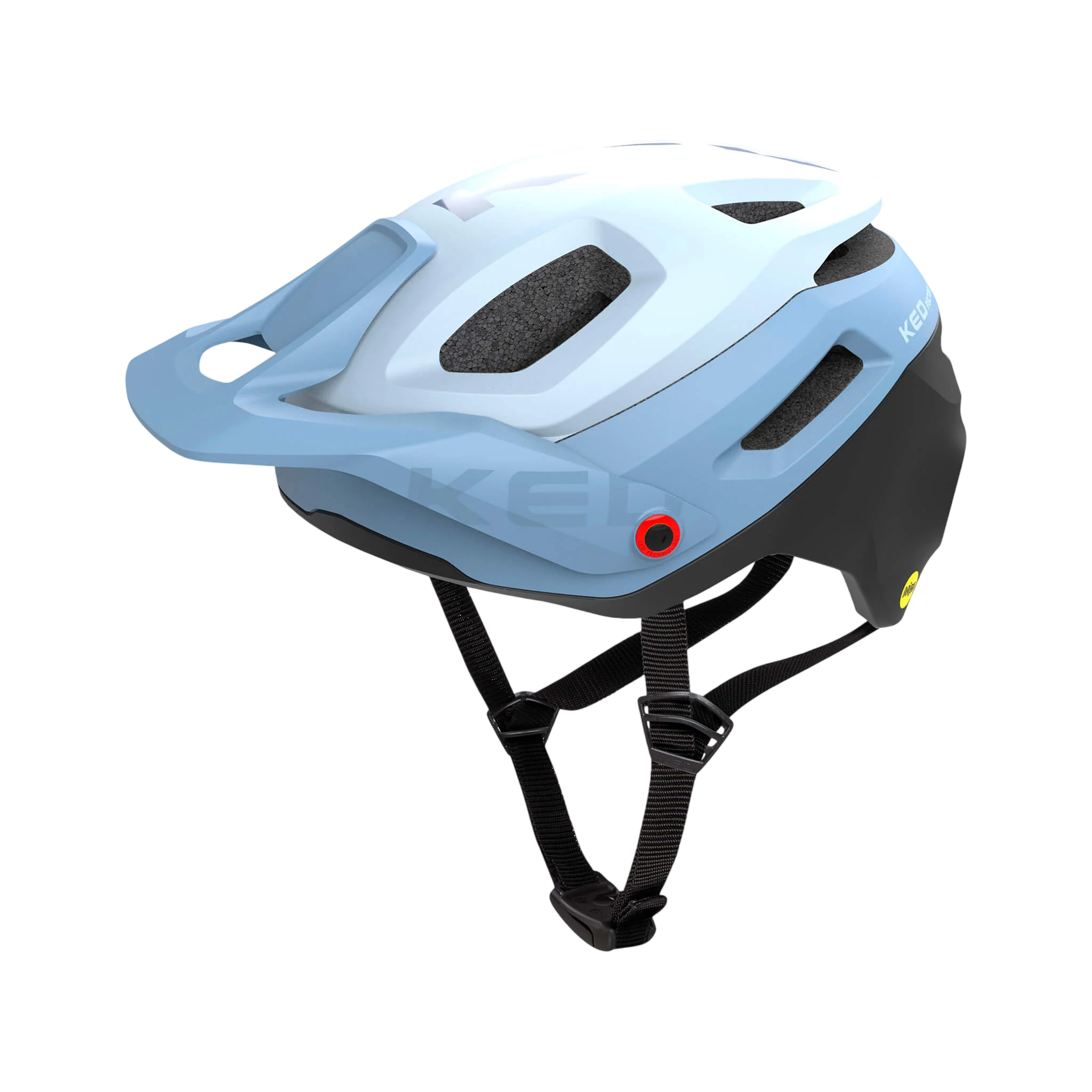Pector ME-1 - Image 37