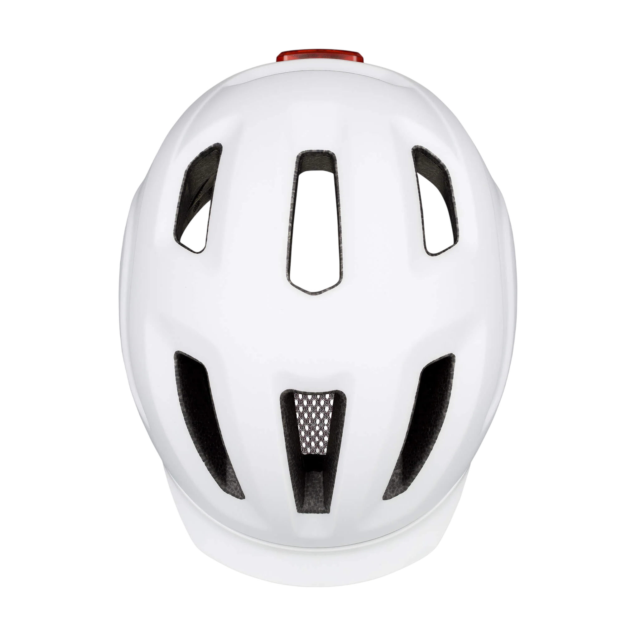 Pedalon - Image 8